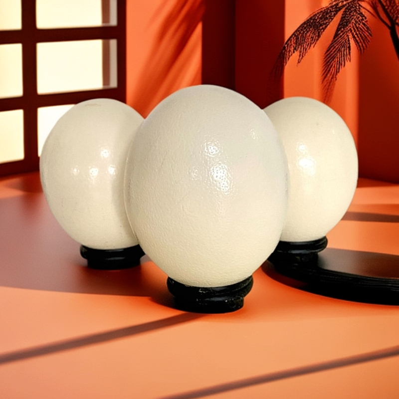 农家新鲜鸵鸟蛋烤鸵鸟蛋禽蛋鸸鹋蛋包邮包破损元旦春节中秋好礼