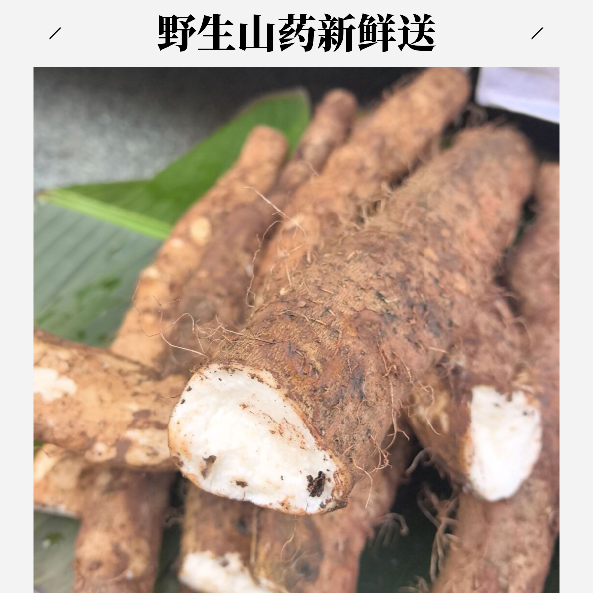 顺丰野生山药新鲜云南野生山货山药现挖现发软糯绵密纯野生