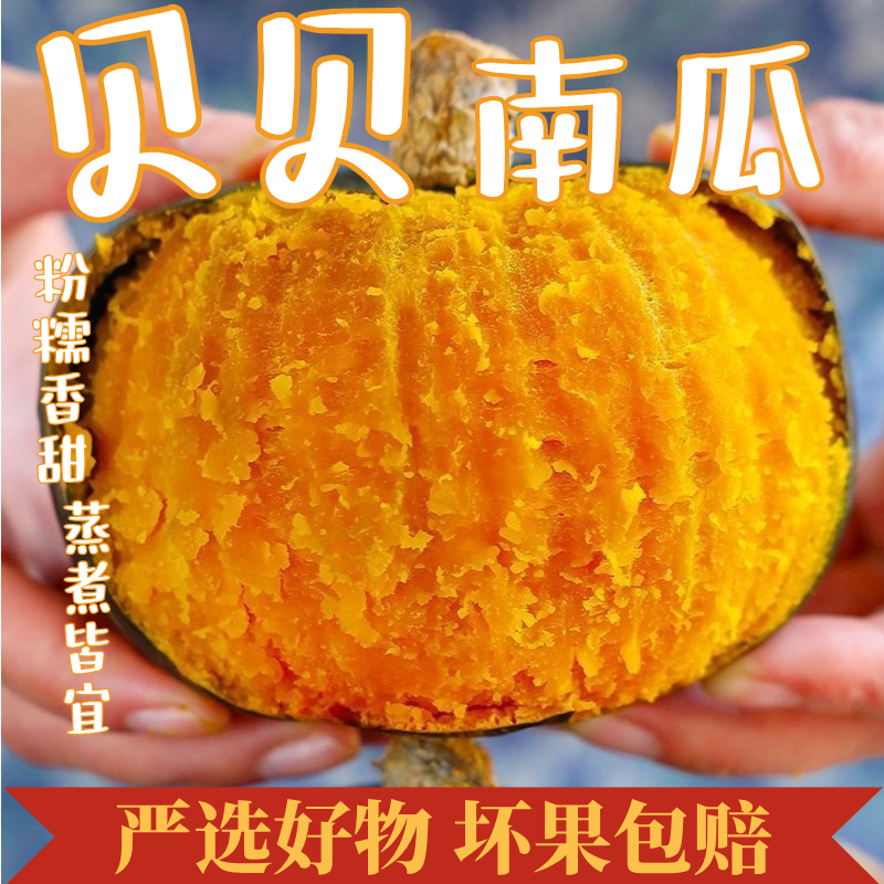 小耘乡正宗贝贝南瓜新鲜现摘粉糯香甜板栗味可作宝宝辅食BY