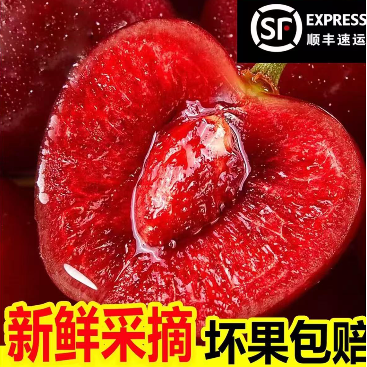 【送两斤】现摘山东露天大樱桃当季新鲜国产车厘子产地直发顺丰空运