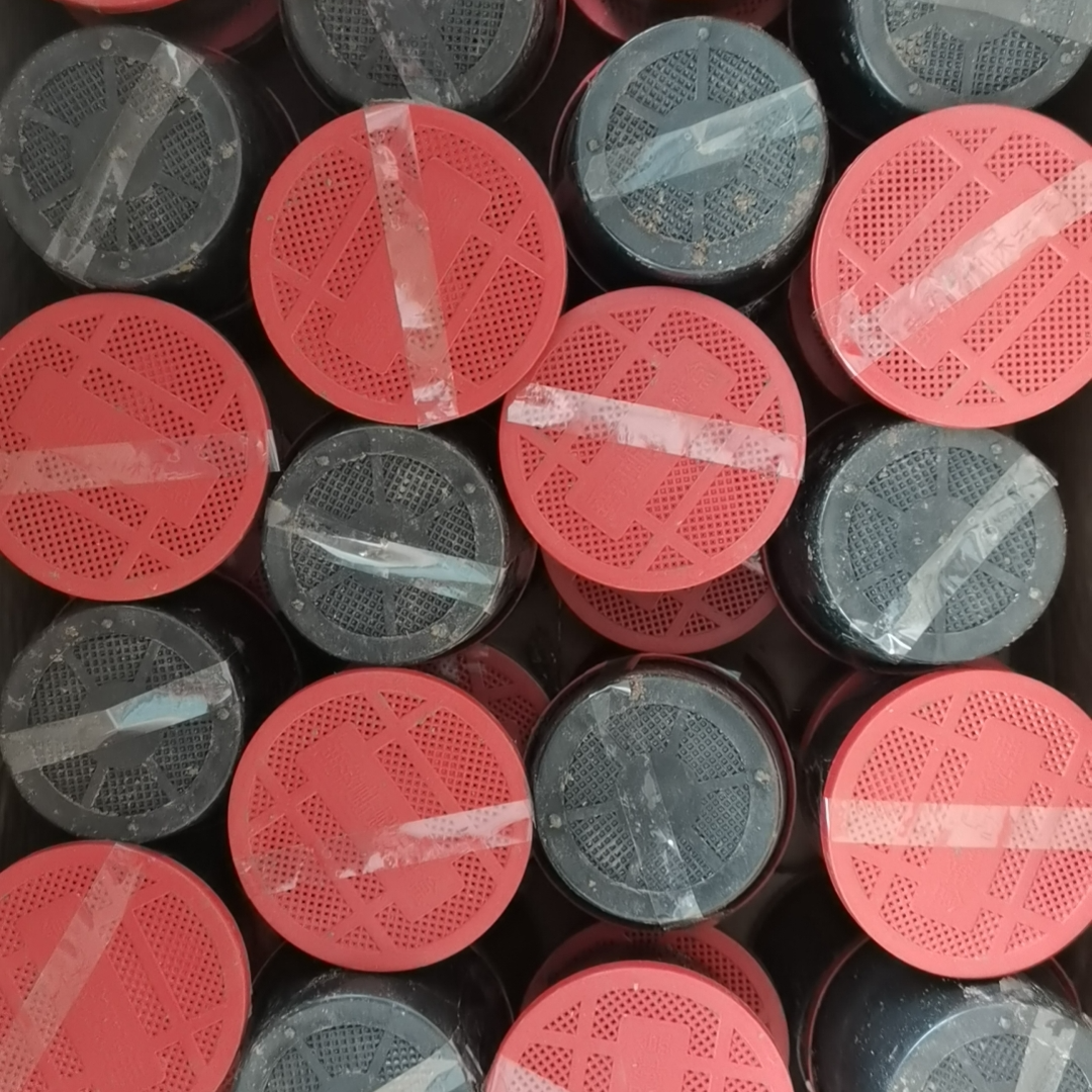 新鲜红蚯蚓活饵料活饵野钓钓鱼现挖现发新鲜包邮盒装发货