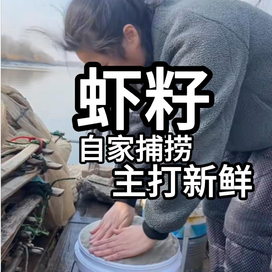 灌南特产潮河新鲜虾籽