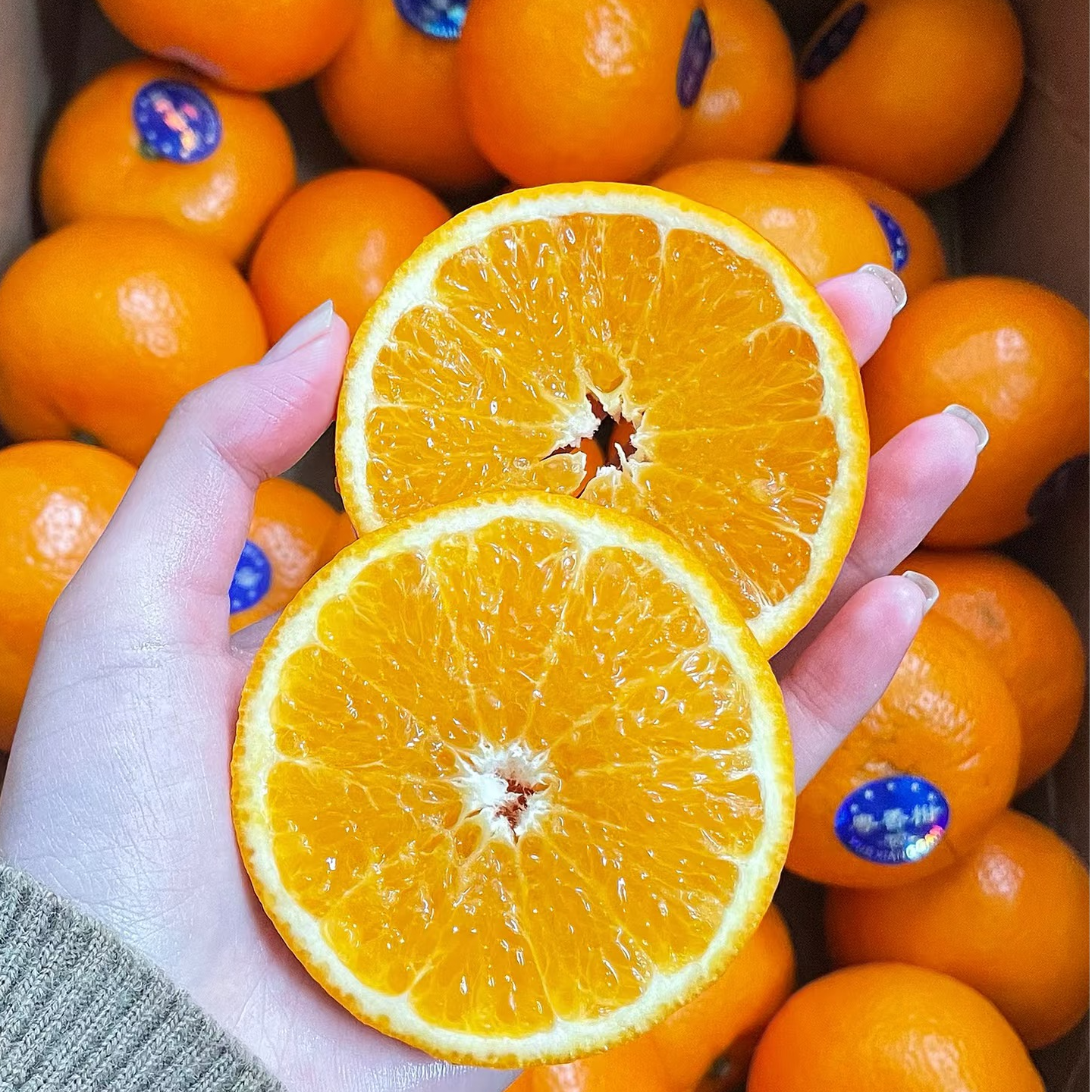 【纯甜爆汁】高山沃柑 新鲜应季水果果园直发皮薄多汁 净5/8斤