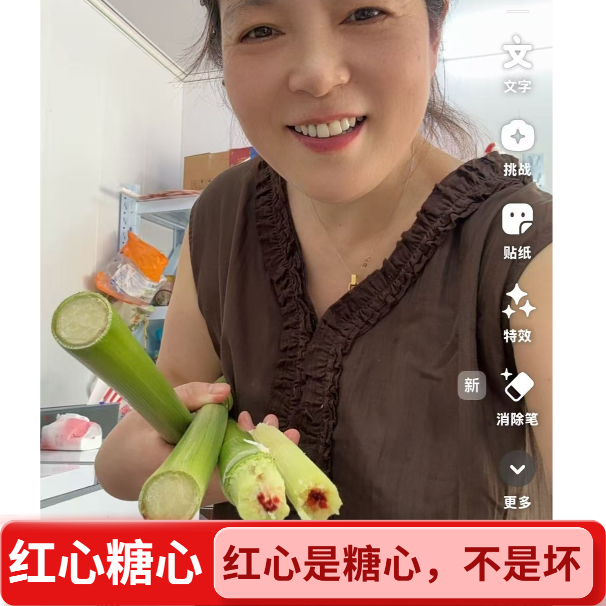 【爆款】崇明甜芦粟小甜杆甜高粱5-10斤装（带外壳）红糖心 现砍发货