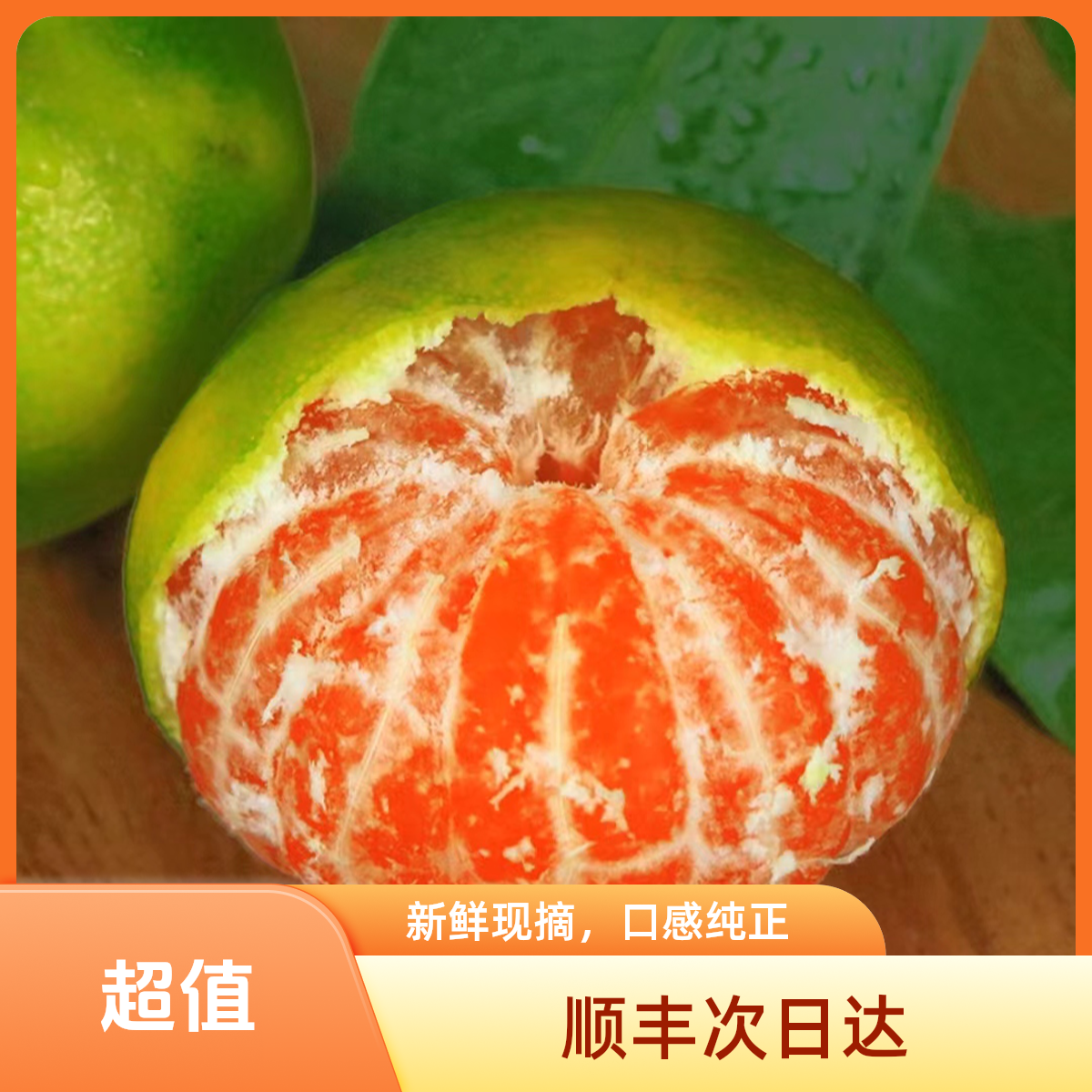 （卓影甄选）顺丰直达正宗浙江临海高山特早蜜桔新鲜橘子青皮蜜桔