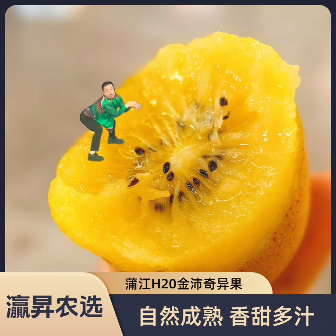 【金沛奇异果】蒲江新品种H20金沛奇异果【房岩小哥专属】