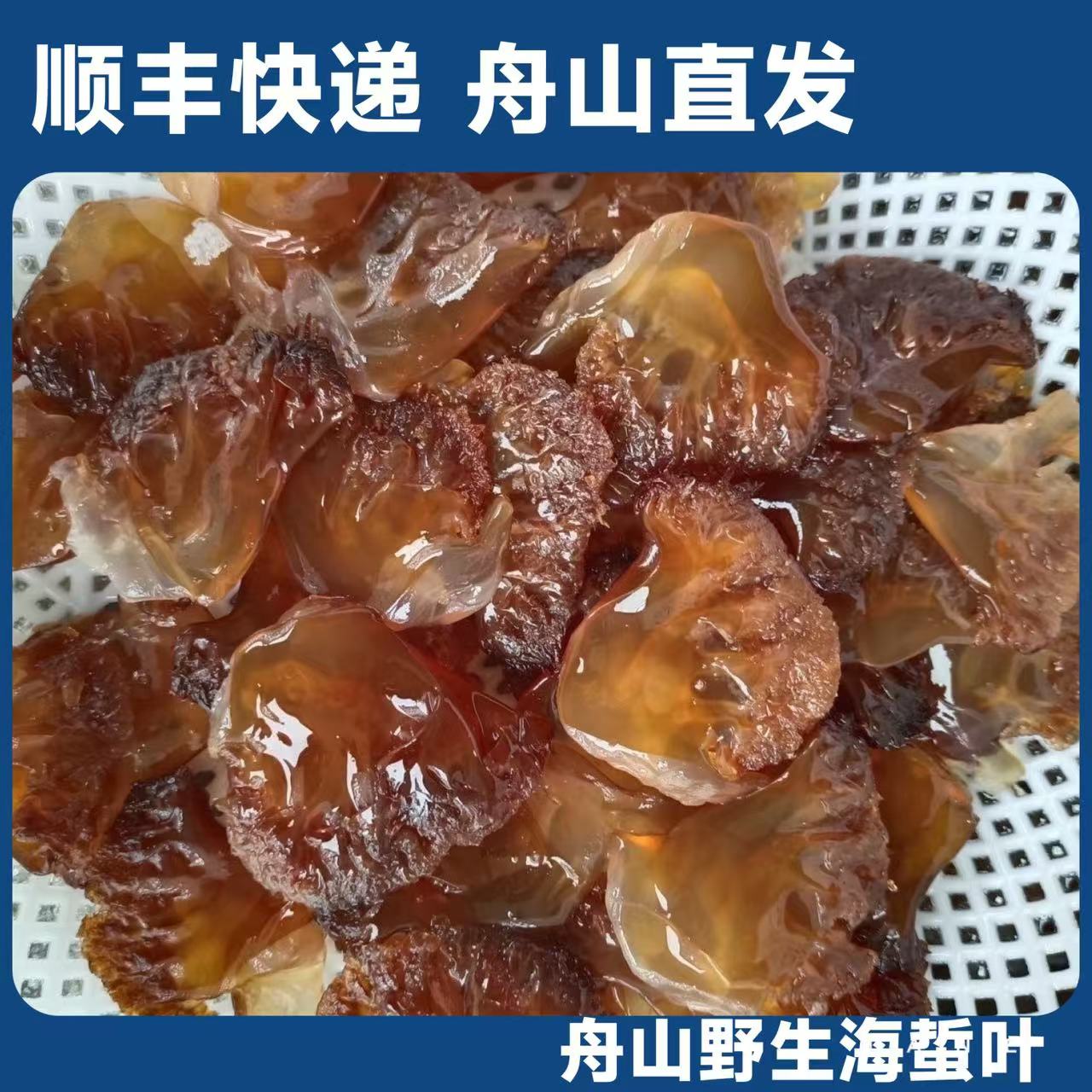 舟山野生海蜇叶三矾海蜇叶子舟山顺丰直发