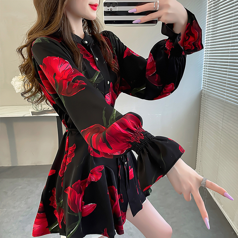 小众印花立领衬衫2024新款女系带收腰上衣宽松荷叶边长袖别致小衫