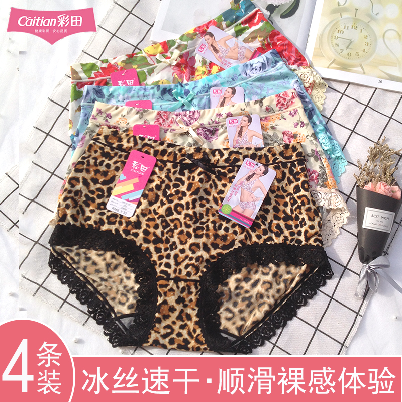 彩田女短裤舒适抑菌印花蕾丝边透气性感豹纹30606高腰【80--150】