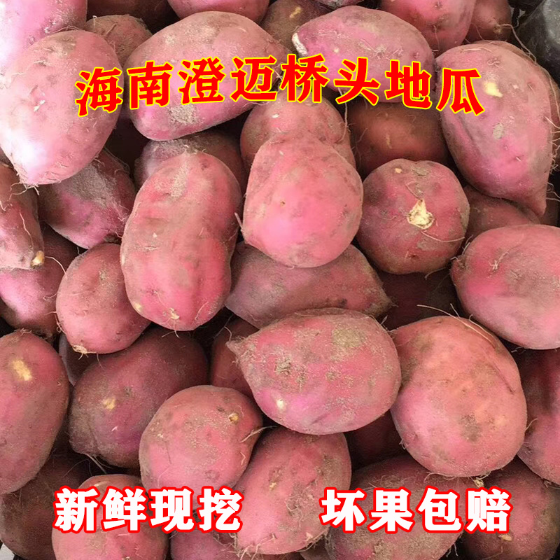 正宗海南澄迈桥头富硒地瓜沙地板栗薯5斤装