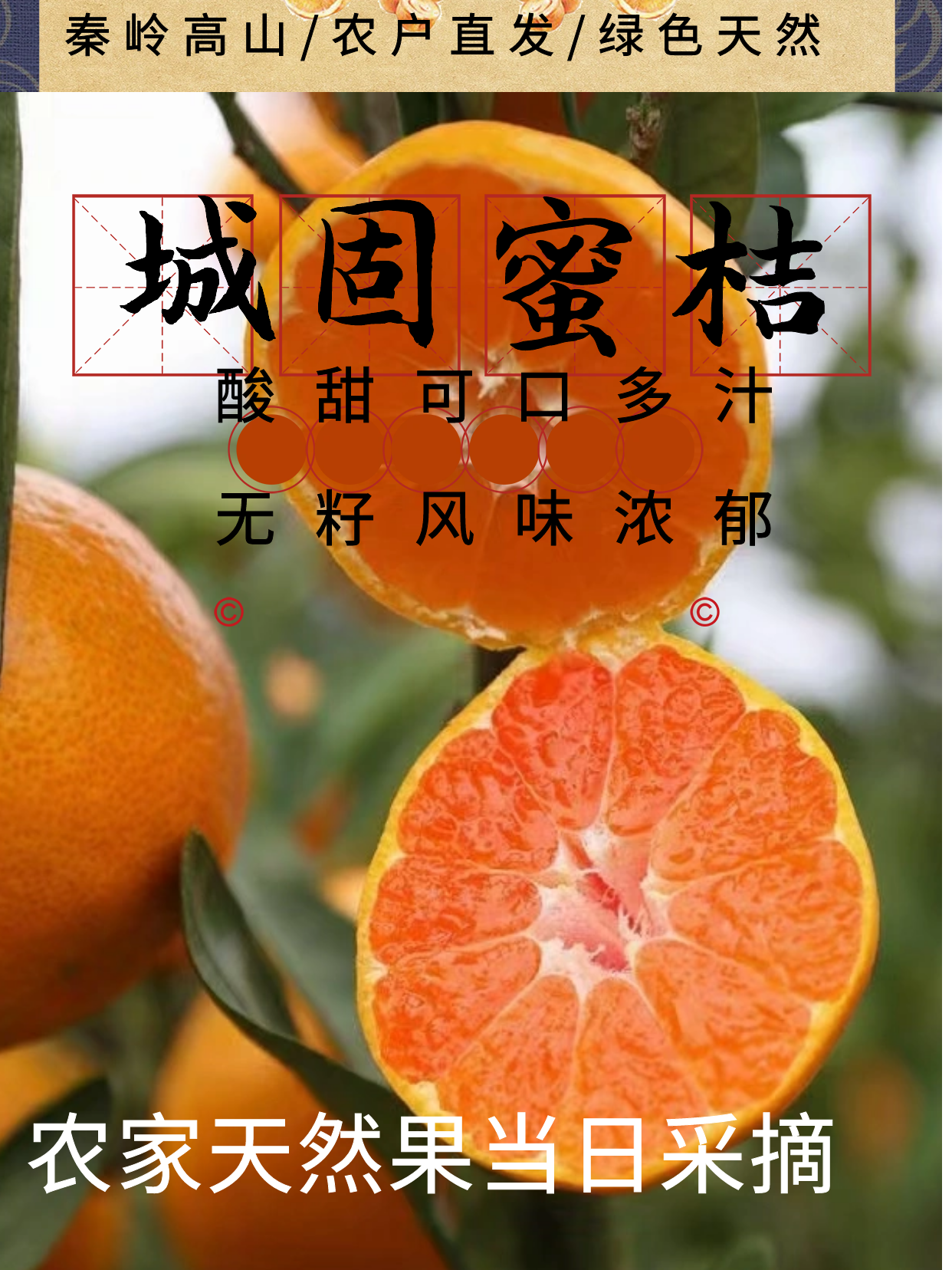 城固蜜橘陕西汉中桔子城固桔子升仙蜜桔9斤包邮酸甜无籽薄皮当季