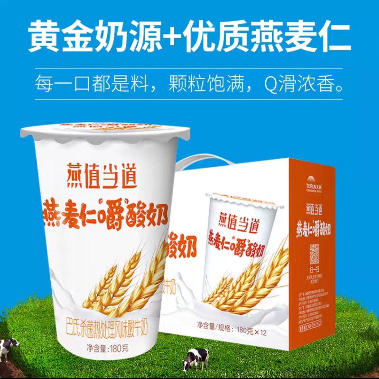 TERUN/天润新疆天润燕麦仁嚼酸奶风味酸牛奶营养早餐奶