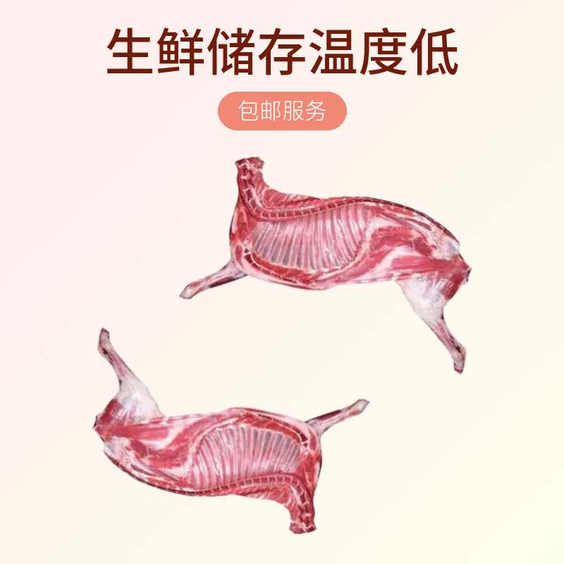 【一只羊40】内蒙羊多多整羊40斤切块56%腿排羊肉卷羊脊骨