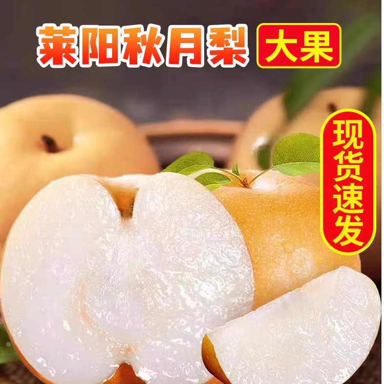 [顺丰快递]方迈果业正宗头茬莱阳秋月梨冰糖子当季水果脆甜多汁