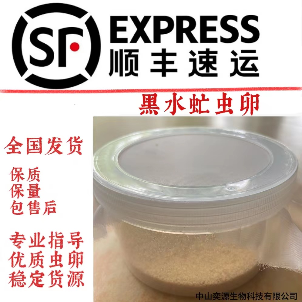 【教学】黑水虻蛋白虫专业技术教学，一对一老师终身陪跑（赠虫卵）