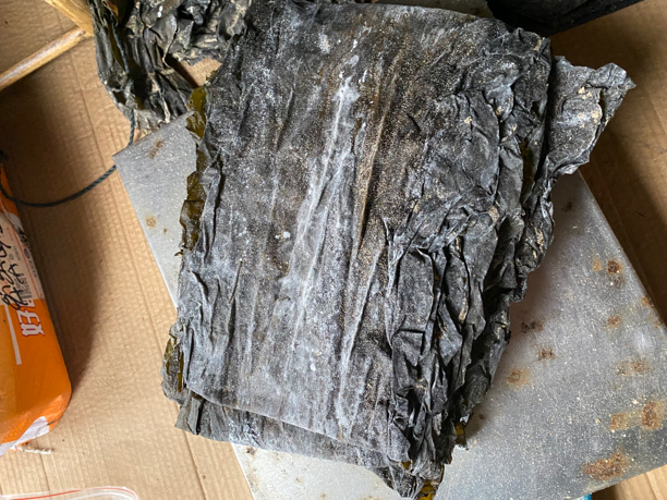 南日岛新出干海带片2斤