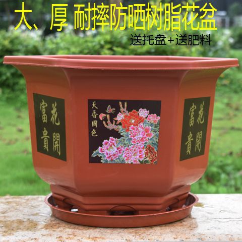 特大加厚塑料花盆防晒砖红耐用新款大口径六角花盆色果树盆栽花盆