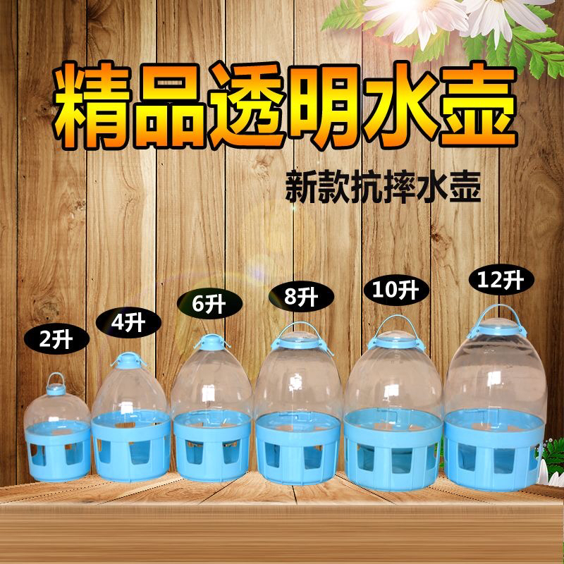鸽具信鸽用品用具鸽子用具饮水器水壶鸽子用水槽鸟用水壶信鸽包邮