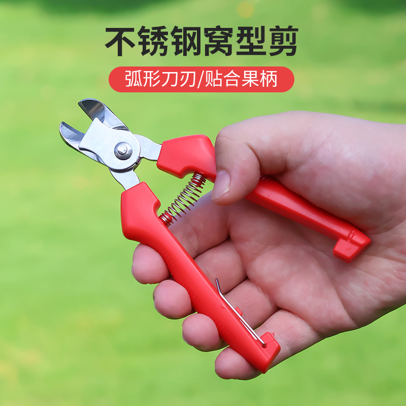 不锈钢窝型摘果剪番茄苹果专用剪橘子采摘剪水果果柄凹形修枝剪刀