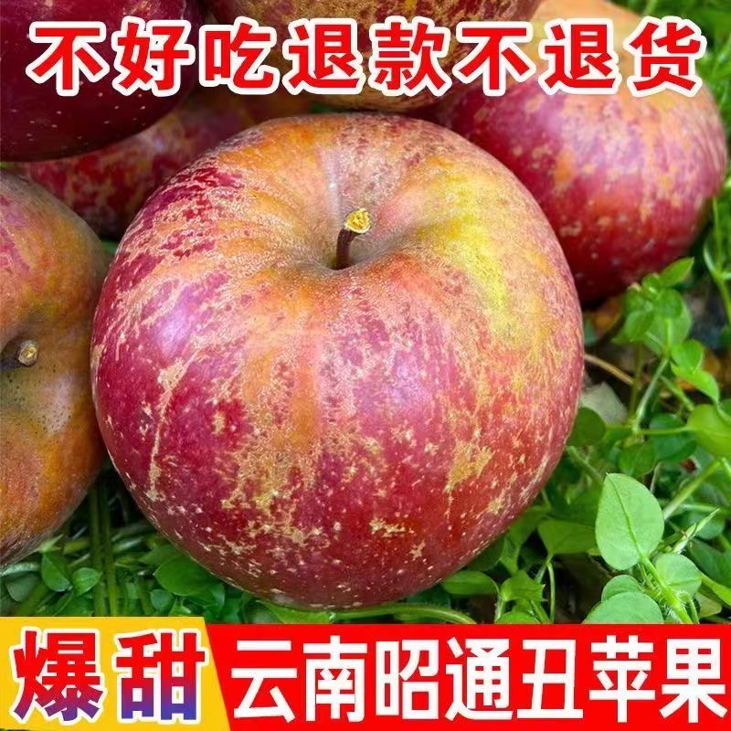 2024云南昭通丑苹果当季新鲜脆甜老现摘现发买3斤送两斤到5斤净重