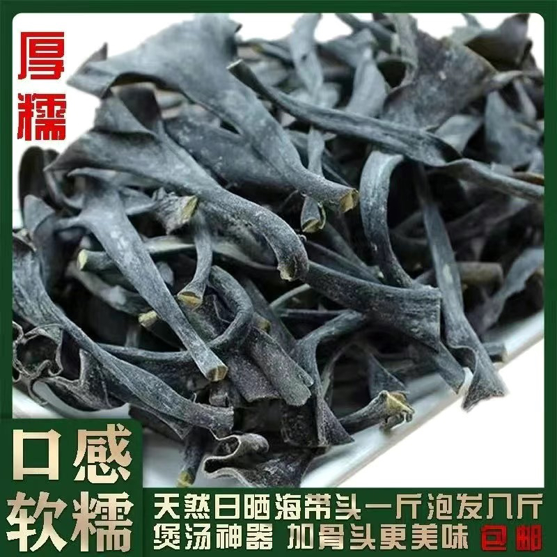 福建霞浦特产海带头干货自然日晒干煲汤厚实高泡发