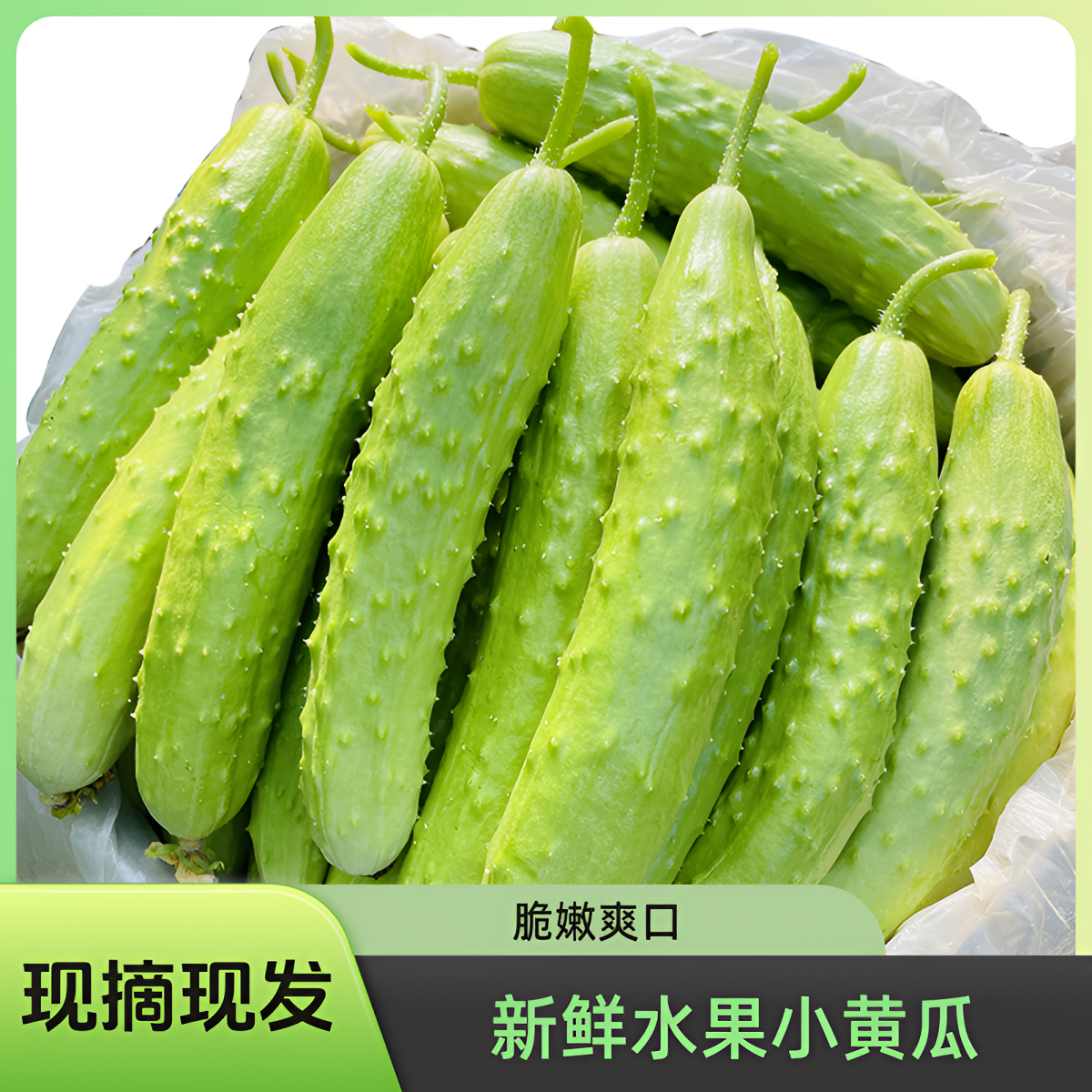 正宗海阳白玉黄瓜水果黄瓜孕妇 生吃脆爽口凉拌现摘1-5斤当季新鲜