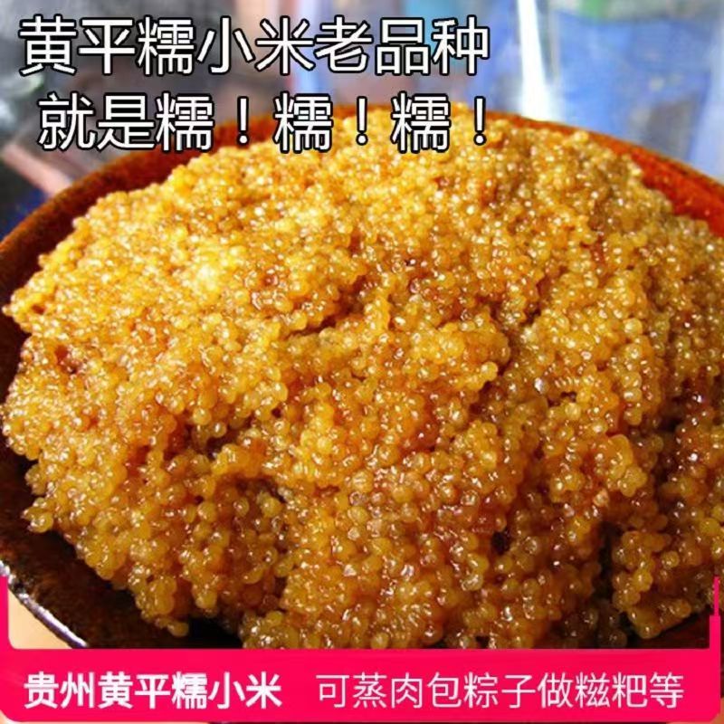 贵州特产黄平新鲜老品种糯小米黏黄米可做小米鲊包粽子煮粥打糍粑