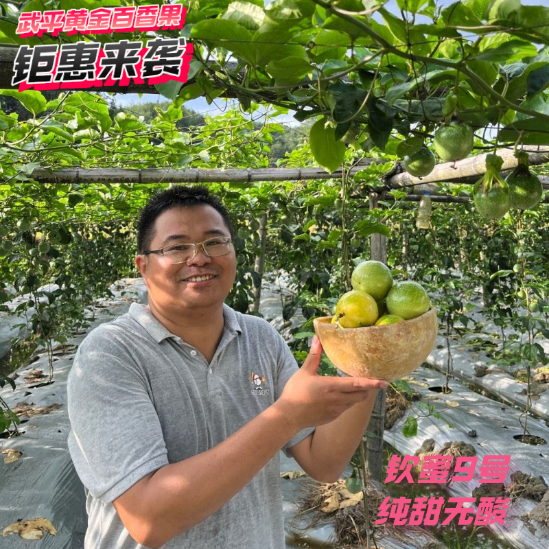 [顺丰包邮精选]福建武平钦蜜九号黄金百香果九分甜1.2斤3斤5斤装
