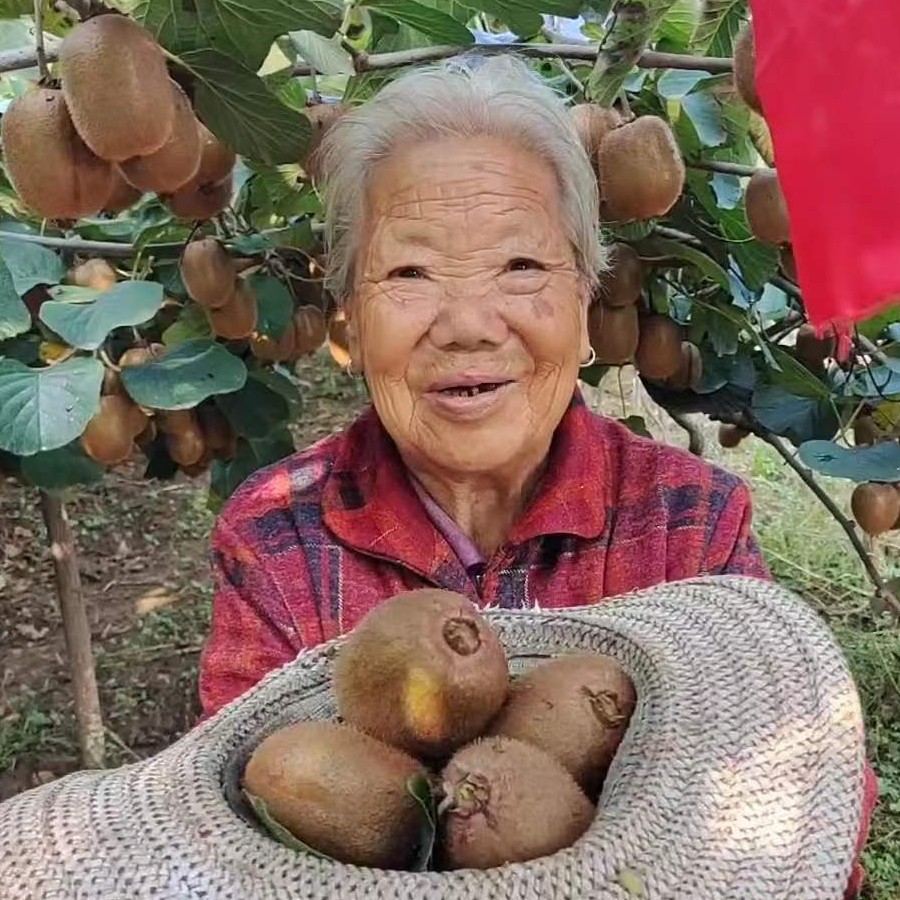 【粉丝升级顺丰】香甜爆汁正宗徐香猕猴桃奇异果特大果