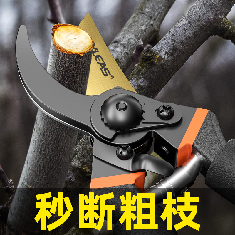 【新疆包邮】园艺剪果树修枝剪园林粗枝剪