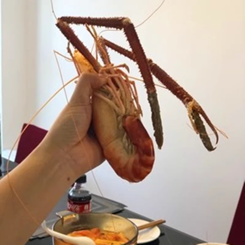 苏州太湖一号大虾鲜活罗氏虾泰国蓝虾新鲜大头虾特大淡水河虾