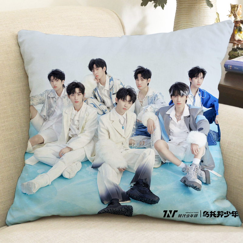 TNT时代少年团周边抱枕刘耀文宋亚轩马嘉祺海报玩偶公仔创意礼物