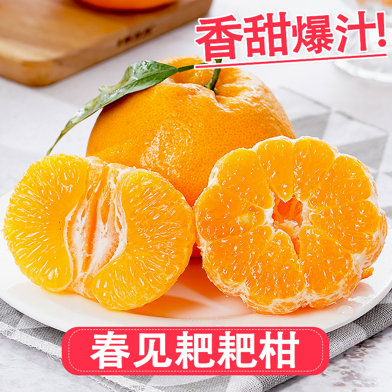 【不甜包赔】四川正宗春见耙耙柑产地直发新鲜橘子桔子4.5-8.5斤