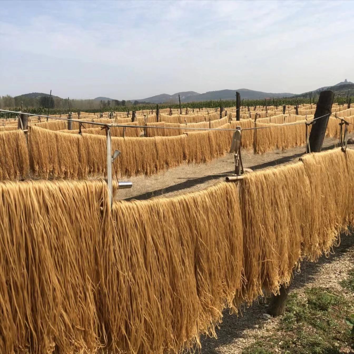 沂蒙山红薯粉条，不含胶 '非遗'D