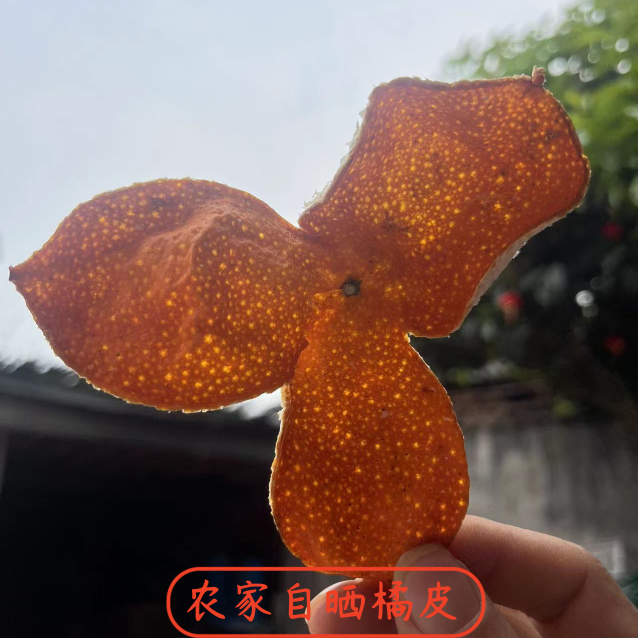 正宗陈皮衢州椪柑泡茶果皮农家晒干无硫非熏散装袋装