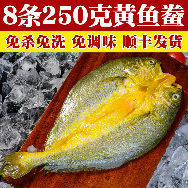 【8条X250g】宁德霞浦黄鱼鲞正宗黄花鱼三去大黄鱼去鳞商用非半干货