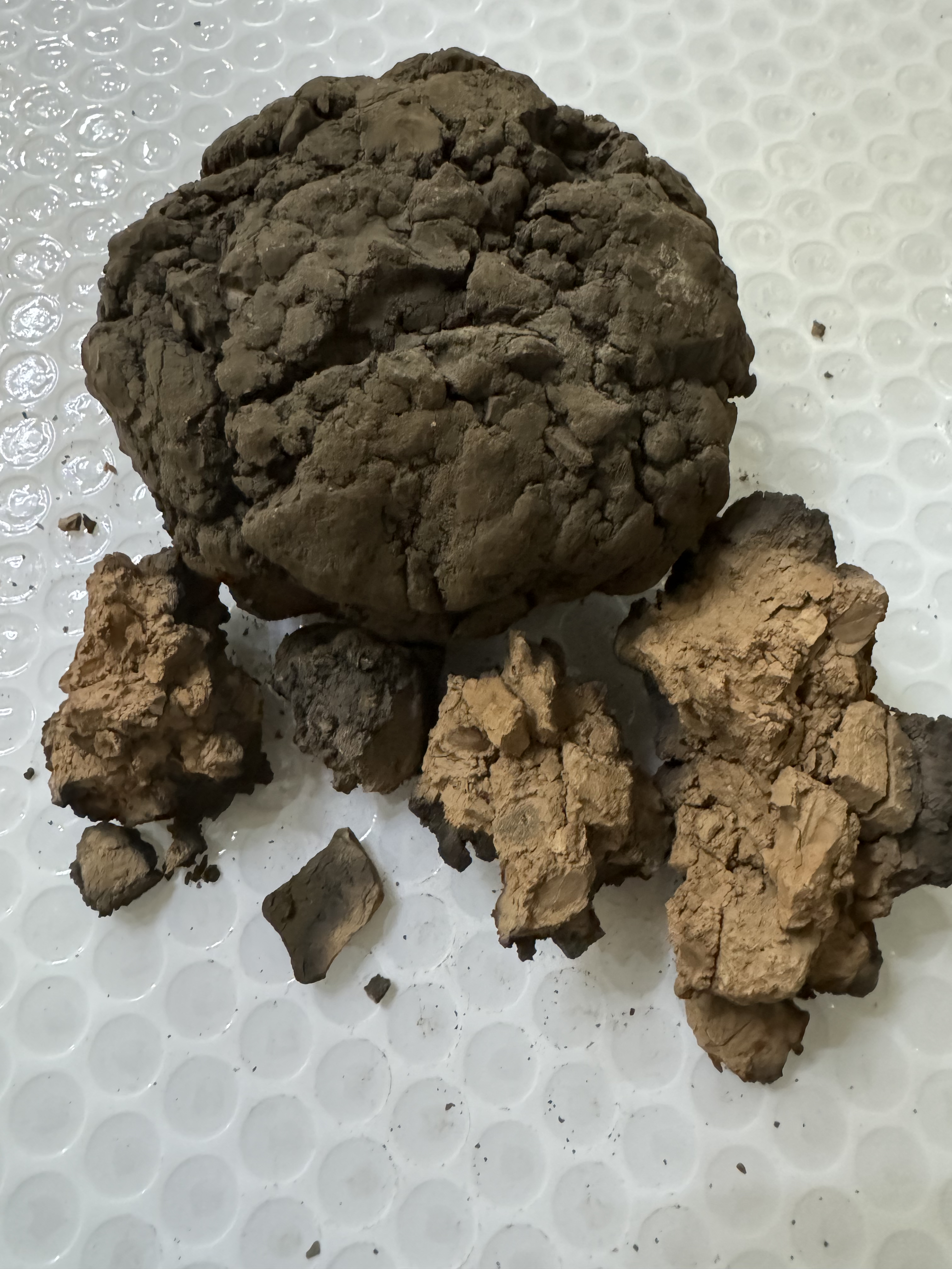 网红土 胶可酥 胶泥颗粒