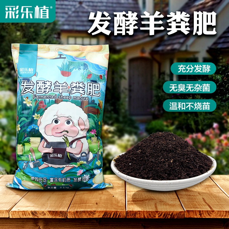 【楼顶水果蔬菜园】无臭羊粪肥腐熟发酵有机种菜果蔬花卉无味温和