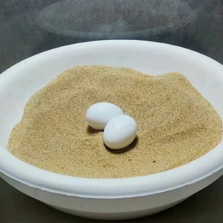 福建省鸽子窝种鸽石膏窝