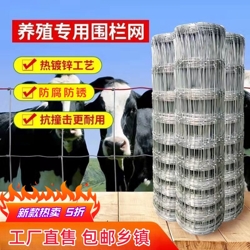热镀锌铁丝网防锈牛栏网圈地钢丝网拦牛羊果园防护网养殖网围栏网