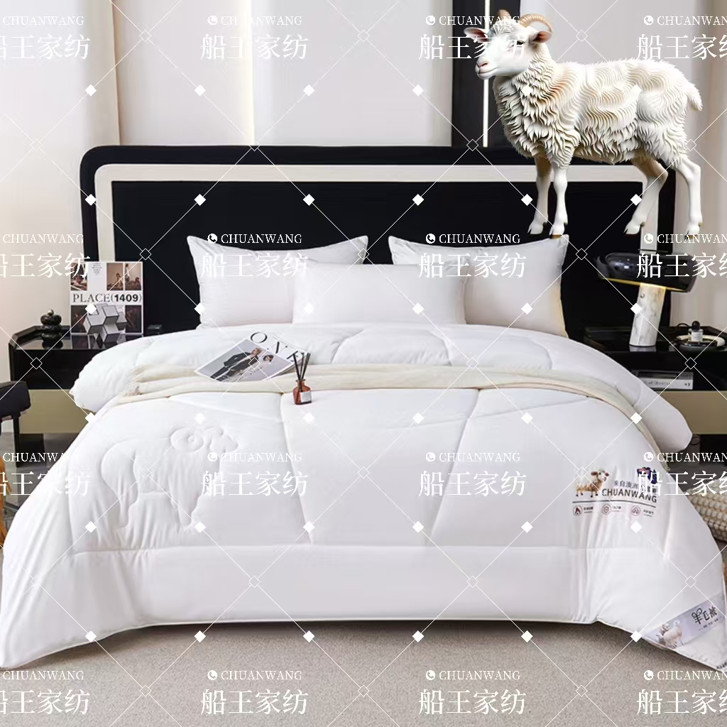 试睡30天/澳洲羊毛蛋白被绵羊毛秋冬保暖被亲肤羊绒蛋白被芯