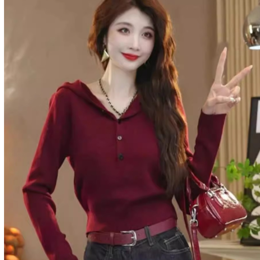 安可拉红连帽毛衣女秋季2025新款洋气时尚简约休闲减龄针织衫上衣