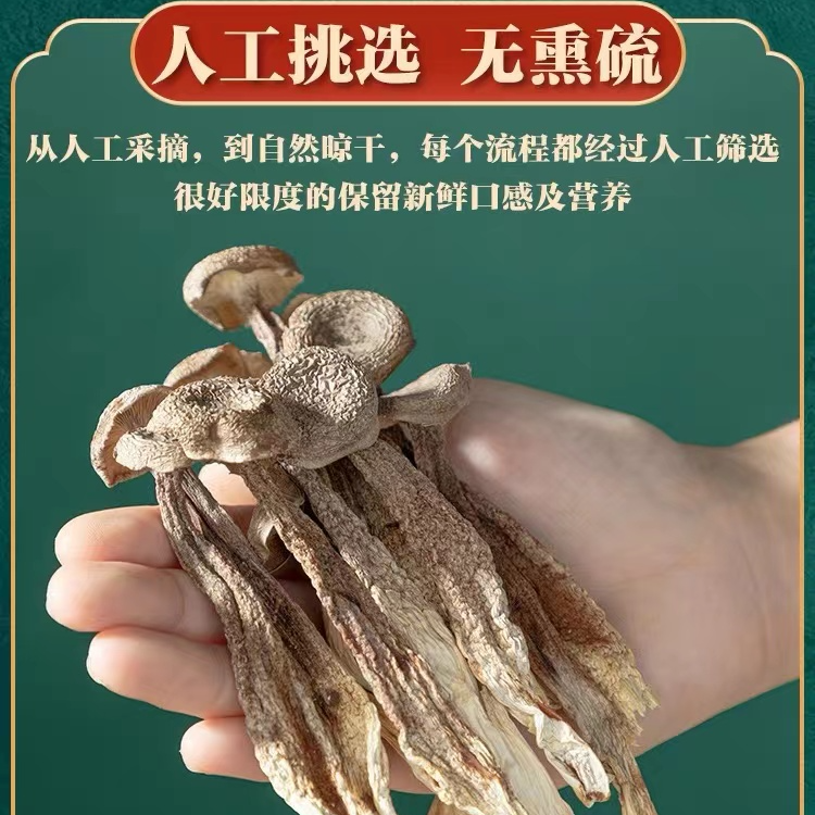 【助农】鹿茸菇脆脆菇鹿茸菌香菇蘑菇云南菌子煲汤炒菜炖菌菇类营养