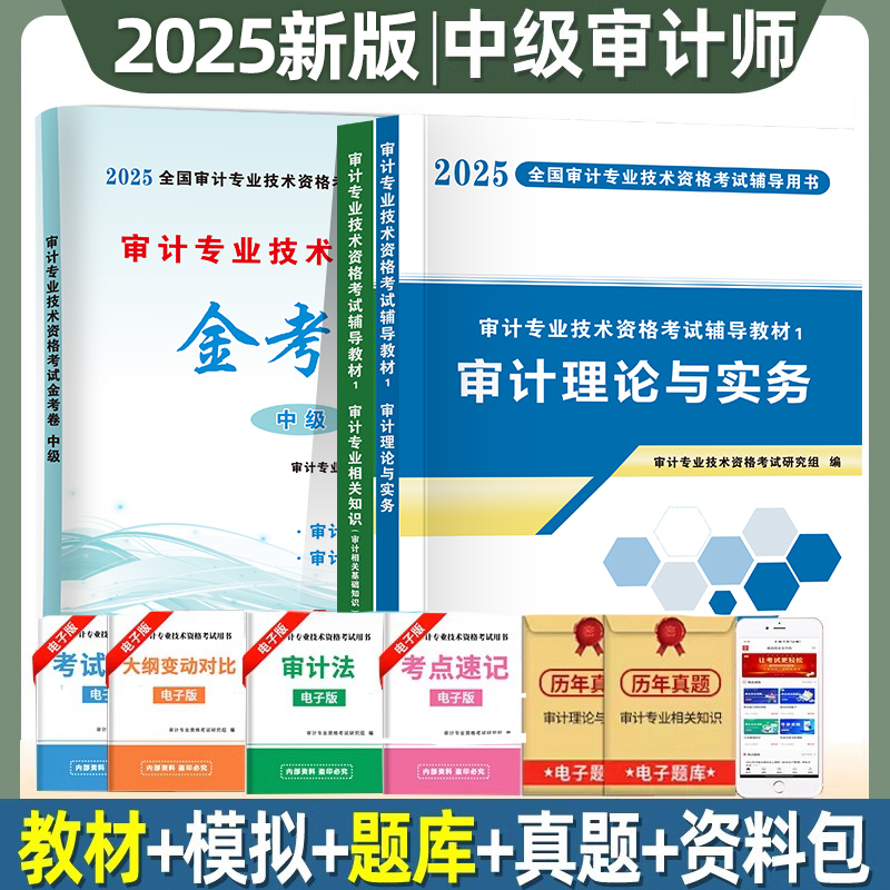 备考2025新中级审计师考试辅导用书教材试卷 审计理论与实务