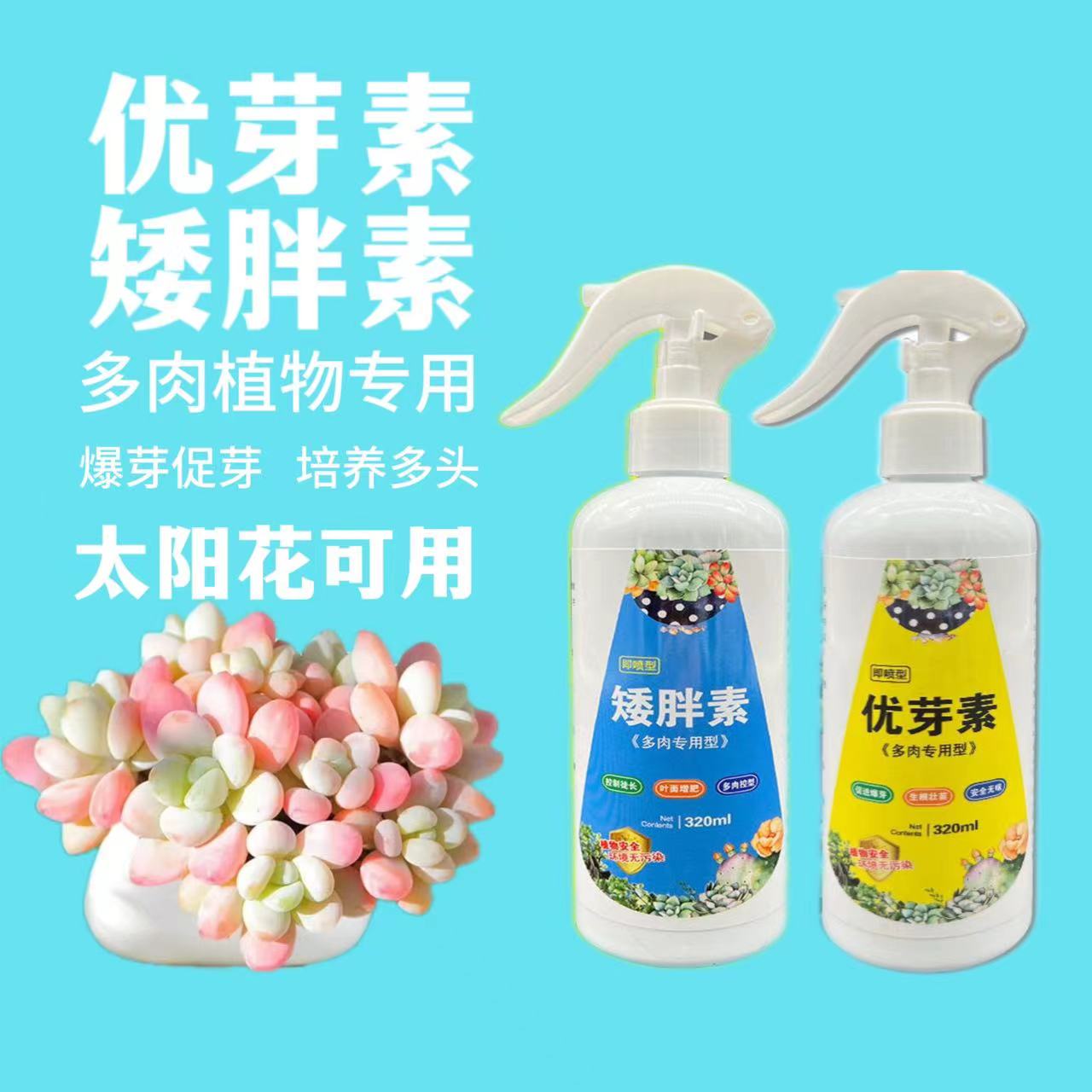 太阳花优芽素矮胖素多肉植物营养液促发芽生根控徒长多肉爆多头