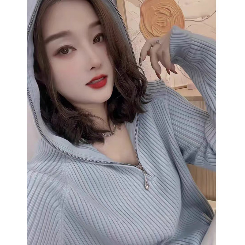 蓝卡缇春秋爆款长袖连帽拉链针织毛衣秋季打底百搭显瘦卫衣上衣