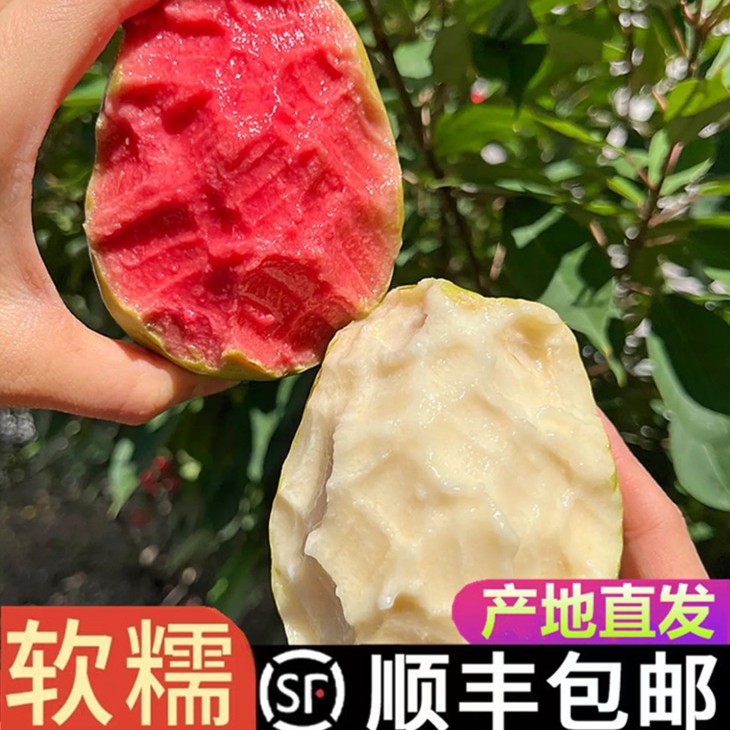 陶湘艺红心+白心冰淇淋软芭乐番石榴新鲜广东软心当季水果3/5斤1g