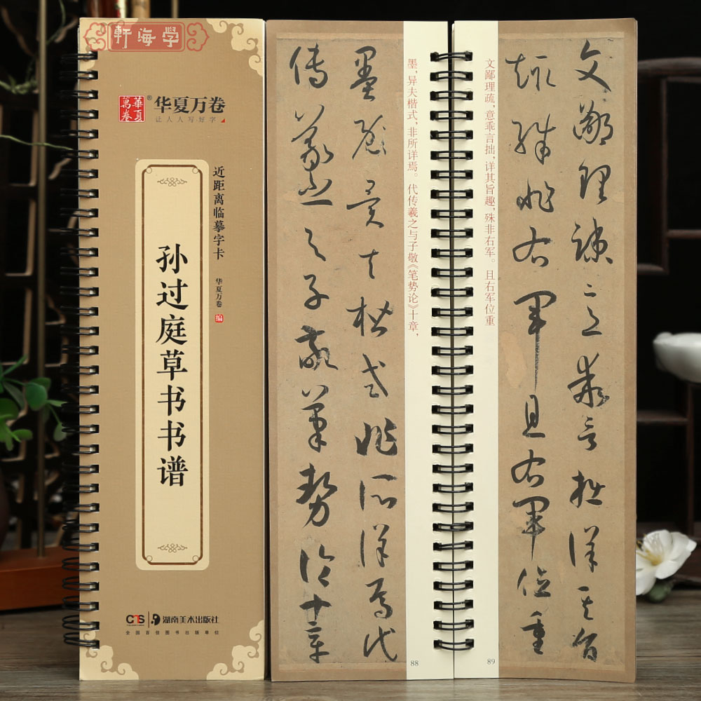 学海轩孙过庭草书书谱近距离临摹字卡简体旁注孙过庭草书临摹范本