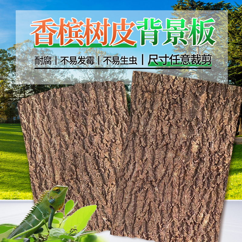 真树皮软木树皮香槟树皮爬宠鱼缸造景绿植装饰水族装饰贴墙背景板