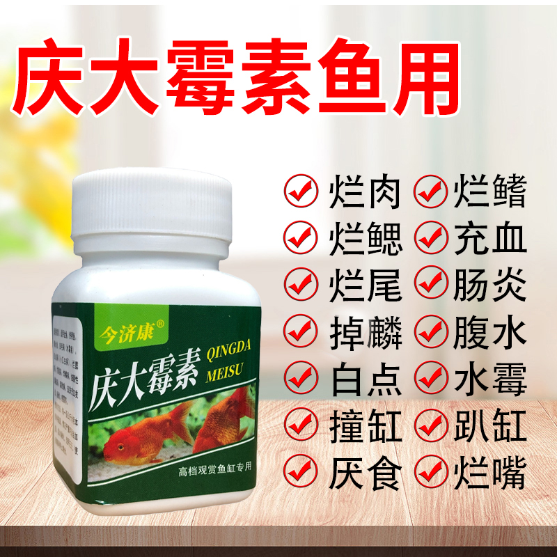 【养鱼专用】鱼身充血白毛白点烂尾烂鳃立麟蒙眼趴缸鱼专用粉